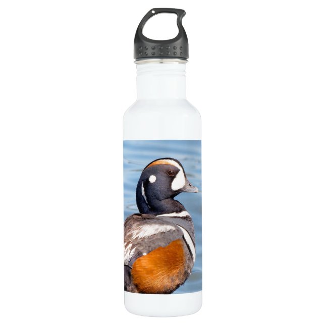 Beautiful Harlequin Duck on the Rock 710 Ml Water Bottle (Front)