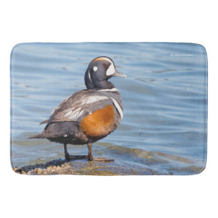 Beautiful Harlequin Duck on the Rock Bath Mat