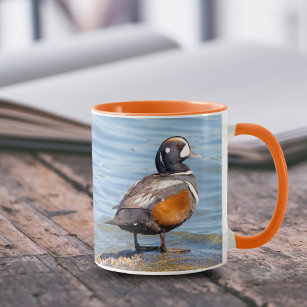 Beautiful Harlequin Duck on the Rock Mug