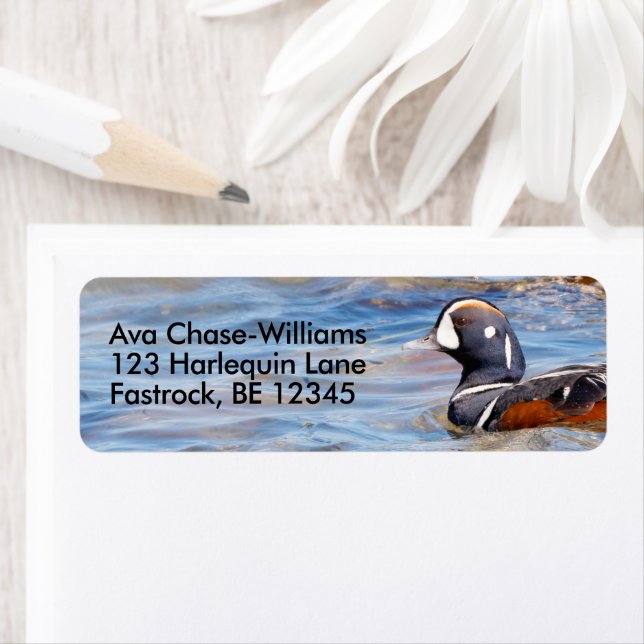 Beautiful Harlequin Duck on the Rock Return Address Label (Insitu)