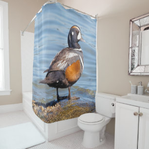 Beautiful Harlequin Duck on the Rock Shower Curtain