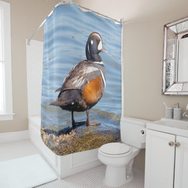 Beautiful Harlequin Duck on the Rock Shower Curtain (In Situ)
