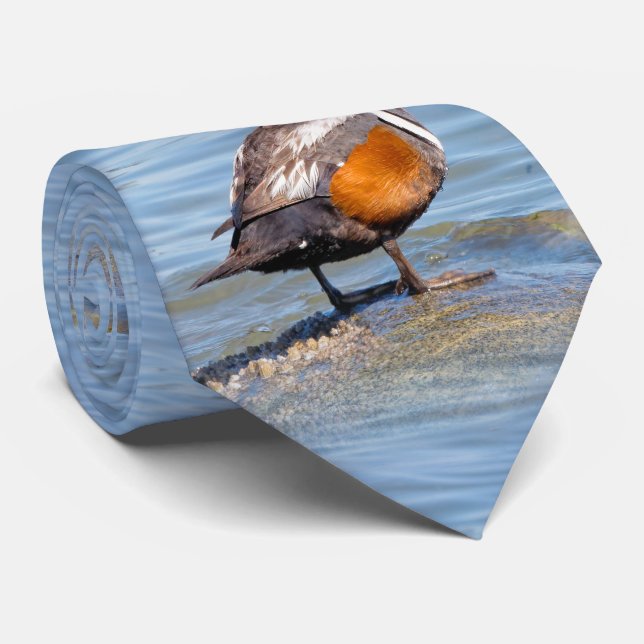 Beautiful Harlequin Duck on the Rock Tie (Rolled)