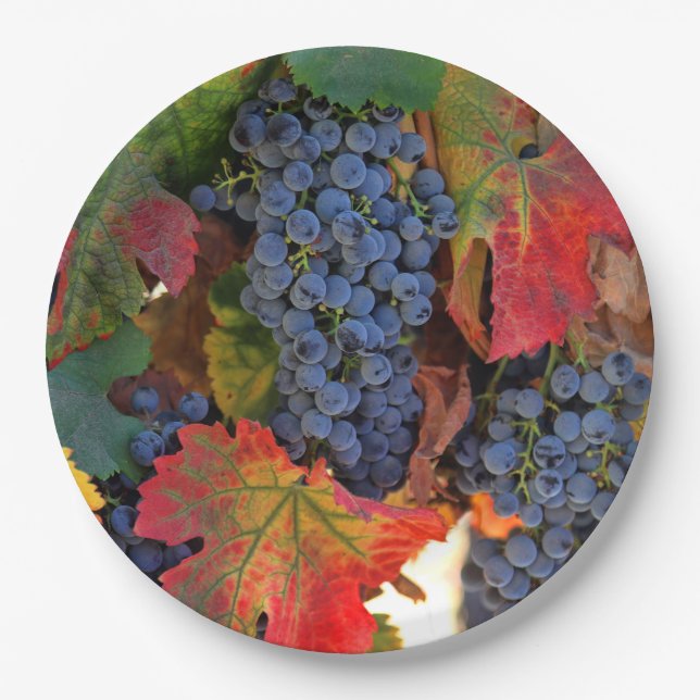 Beautiful Harvest Wine Vineyard Paper Plates (Front)