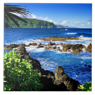 Beautiful Hawaii Ceramic Tile