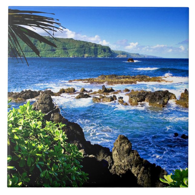 Beautiful Hawaii Ceramic Tile (Front)