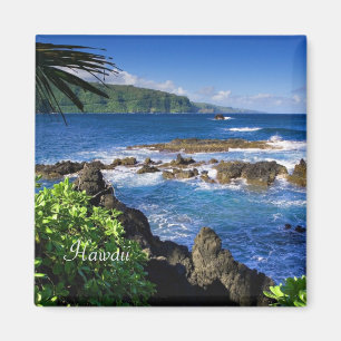 Beautiful Hawaii (labelled) Magnet