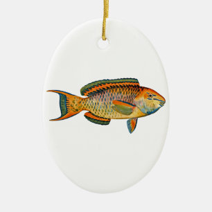 Beautiful Hawaiian Fish - Regal Parrotfish Ceramic Tree Decoration