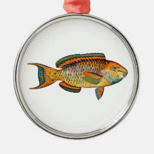 Beautiful Hawaiian Fish - Regal Parrotfish Metal Ornament