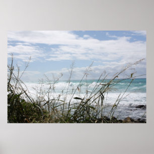Beautiful Hawaiian Ocean Poster