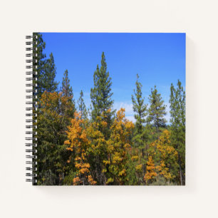Beautiful Hayfork, California... Notebook