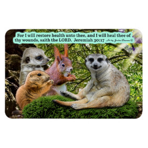 Beautiful Healing Scripture Magnet  Jeremiah 30:17