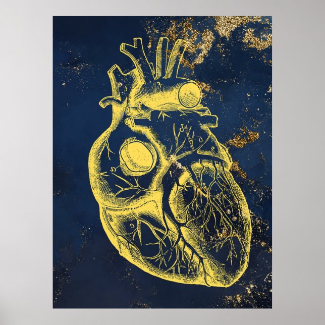 Beautiful Heart anatomy poster (Front)