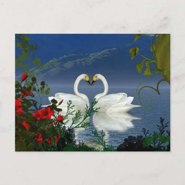 Beautiful heart swans red flowers 1 postcard (Front)