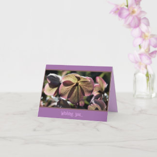 Beautiful Hellbore Flower Birthday Card