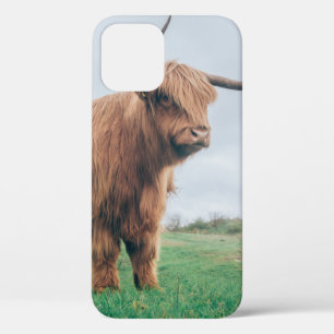 BEAUTIFUL HIGHLAND CATTLE iPhone 12 CASE