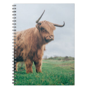 BEAUTIFUL HIGHLAND CATTLE NOTEBOOK