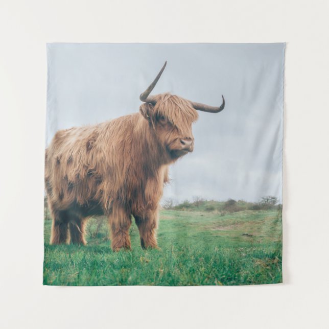 BEAUTIFUL HIGHLAND CATTLE TAPESTRY (Front)