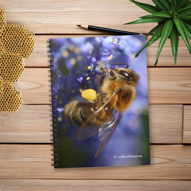 Beautiful Honeybee on the California Lilac Notebook (Honeybee on the California Lilac Journal Cover Photo)