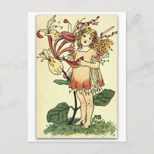 Beautiful Honeysuckle by NELLIE BENSON Postcard (Front)