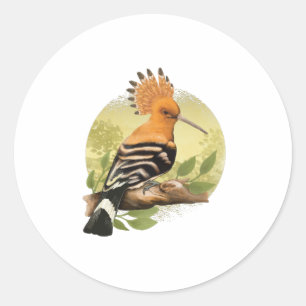 Beautiful Hoopoe For Ornithologists Classic Round Sticker