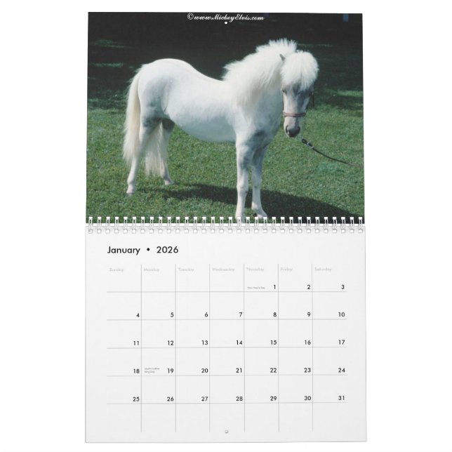 Beautiful Horse 2010 Calendar (Jan 2026)