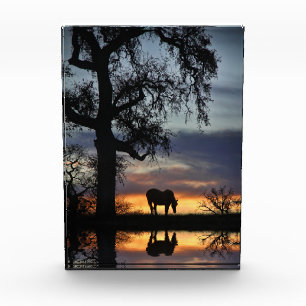 Beautiful Horse and Pond in Sunset Photo Block
