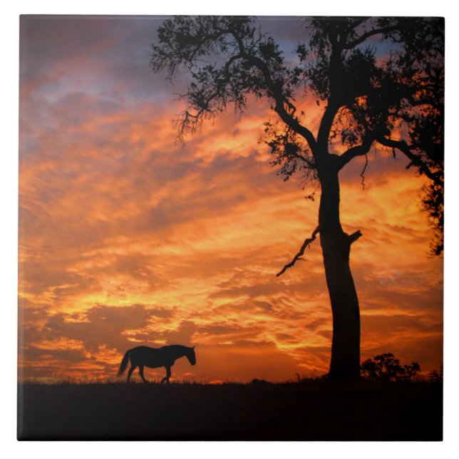 Beautiful Horse and Southwestern Sunset Art Ceramic Tile (Front)