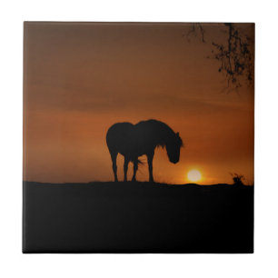 Beautiful Horse and Southwestern Sunset Ceramic Tile