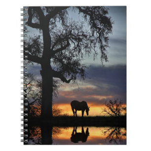 Beautiful Horse and Water in Sunset Notebook