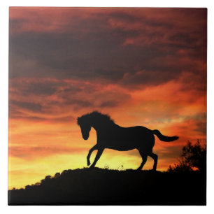 Beautiful Horse Art Tile