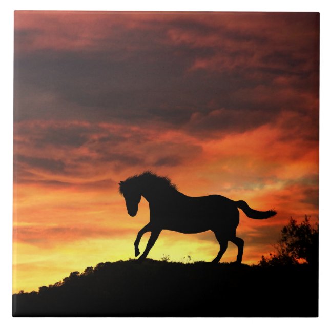 Beautiful Horse Art Tile (Front)