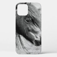 BEAUTIFUL HORSE