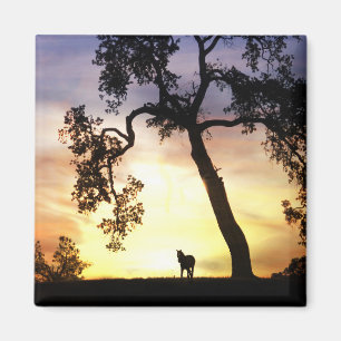Beautiful Horse in the Sunset Magnet