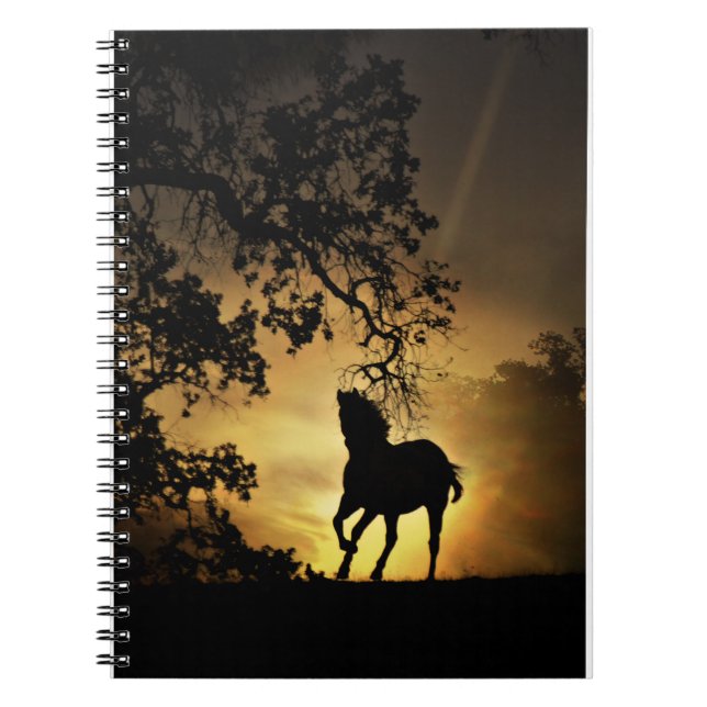 Beautiful Horse in the Sunset Notebook (Front)