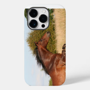Beautiful Horse iPhone / iPad case