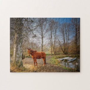 Beautiful horse jigsaw puzzle