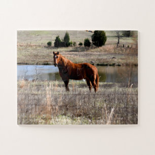 beautiful horse jigsaw puzzle