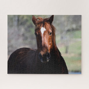 Beautiful Horse Jigsaw Puzzle