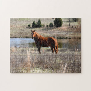 beautiful horse jigsaw puzzle