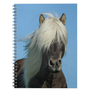 Beautiful Horse Notebook