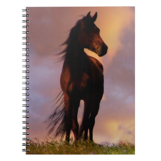Beautiful Horse Notebook (Front)