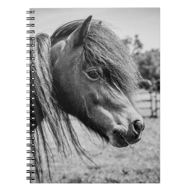 BEAUTIFUL HORSE NOTEBOOK (Front)