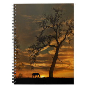 Beautiful Horse Notebook