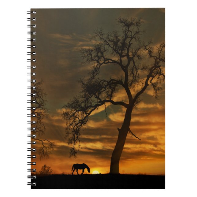 Beautiful Horse Notebook (Front)