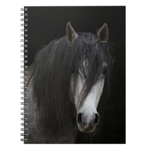 Beautiful Horse Notebook