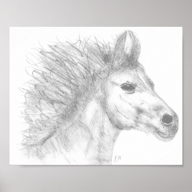 Beautiful Horse Pencil Sketch Poster (Front)