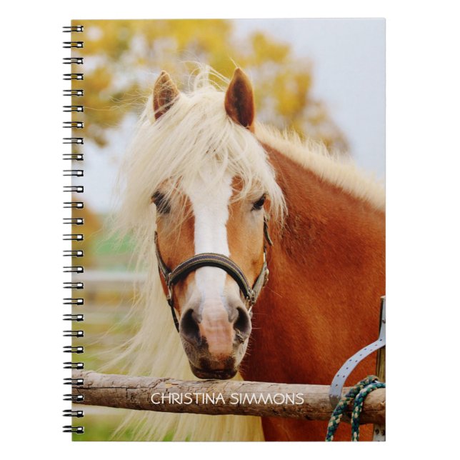 Beautiful Horse Personalised Notebook (Front)