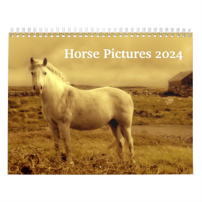 Beautiful Horse Pictures Images 2024 Calendar (Cover)