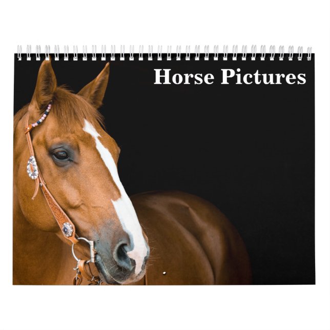 Beautiful Horse Pictures Images 2026 Calendar (Cover)